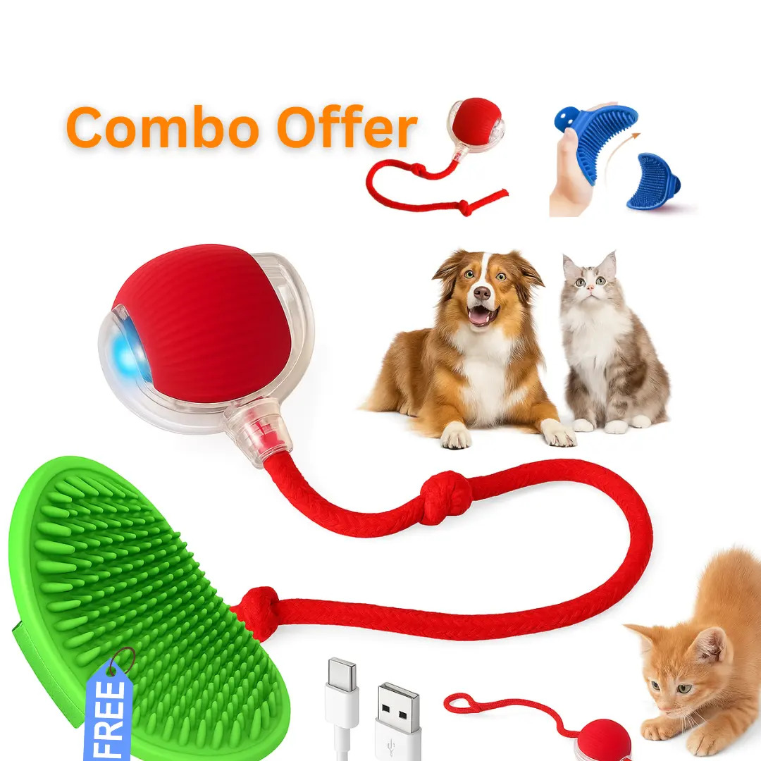 Petwag Smart Pet Chase Ball with LED & Grooming Brush
