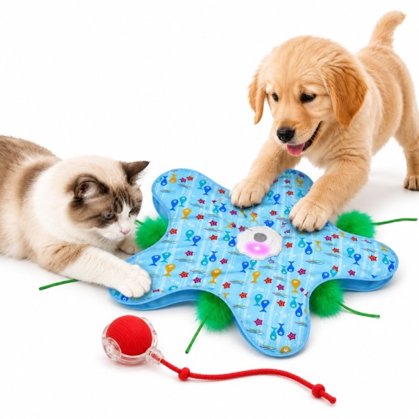 Pawzo Interactive Cat & Dog Toy Combo Pack – Feather Play Mat & Rolling Ball Toy for Indoor Pets
